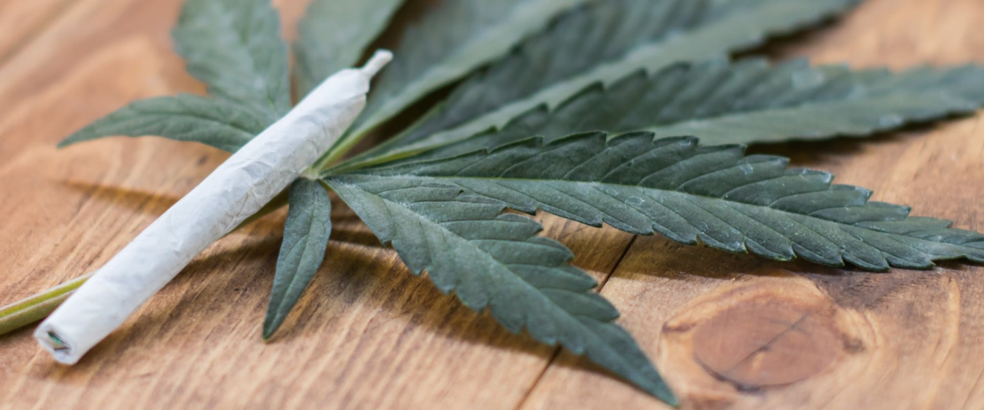 Why should medical marijuanas not be legalized?