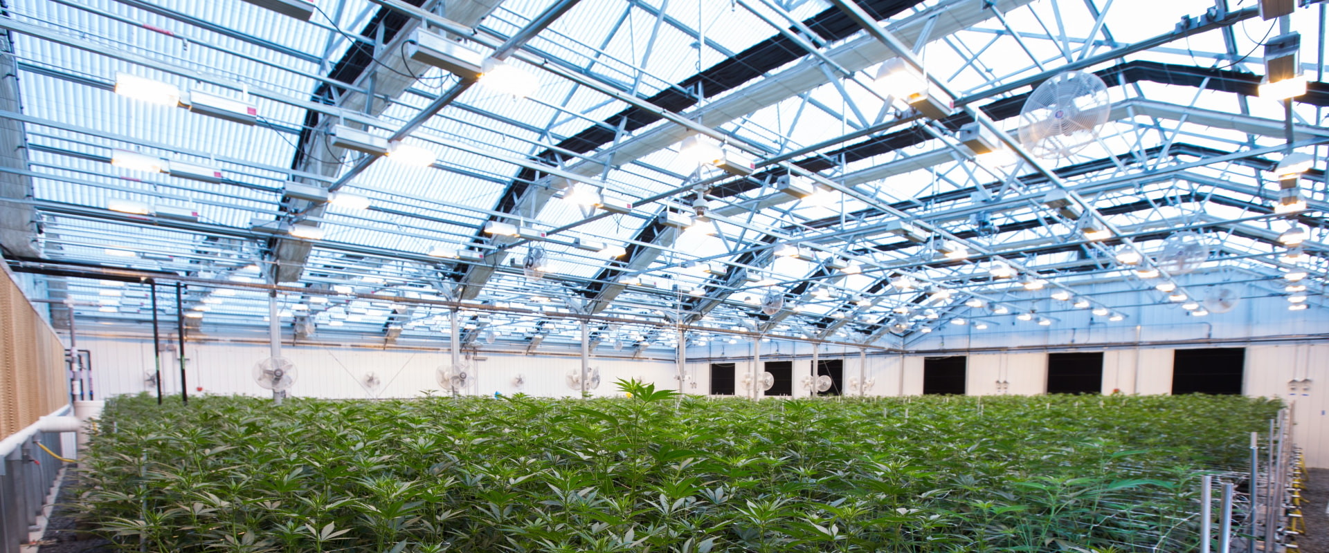 Do i need a medical card to buy at a dispensary in virginia?