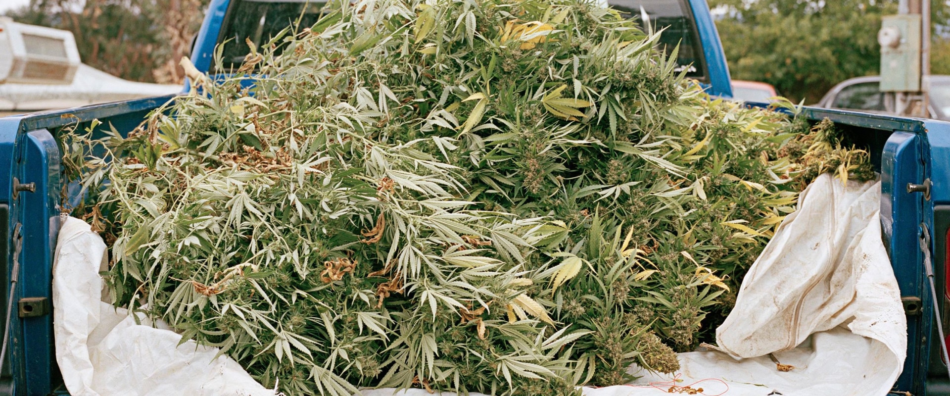 Detox Center In Portland, Maine: Building A Life Where Marijuana Dispensaries Don’t Tempt You