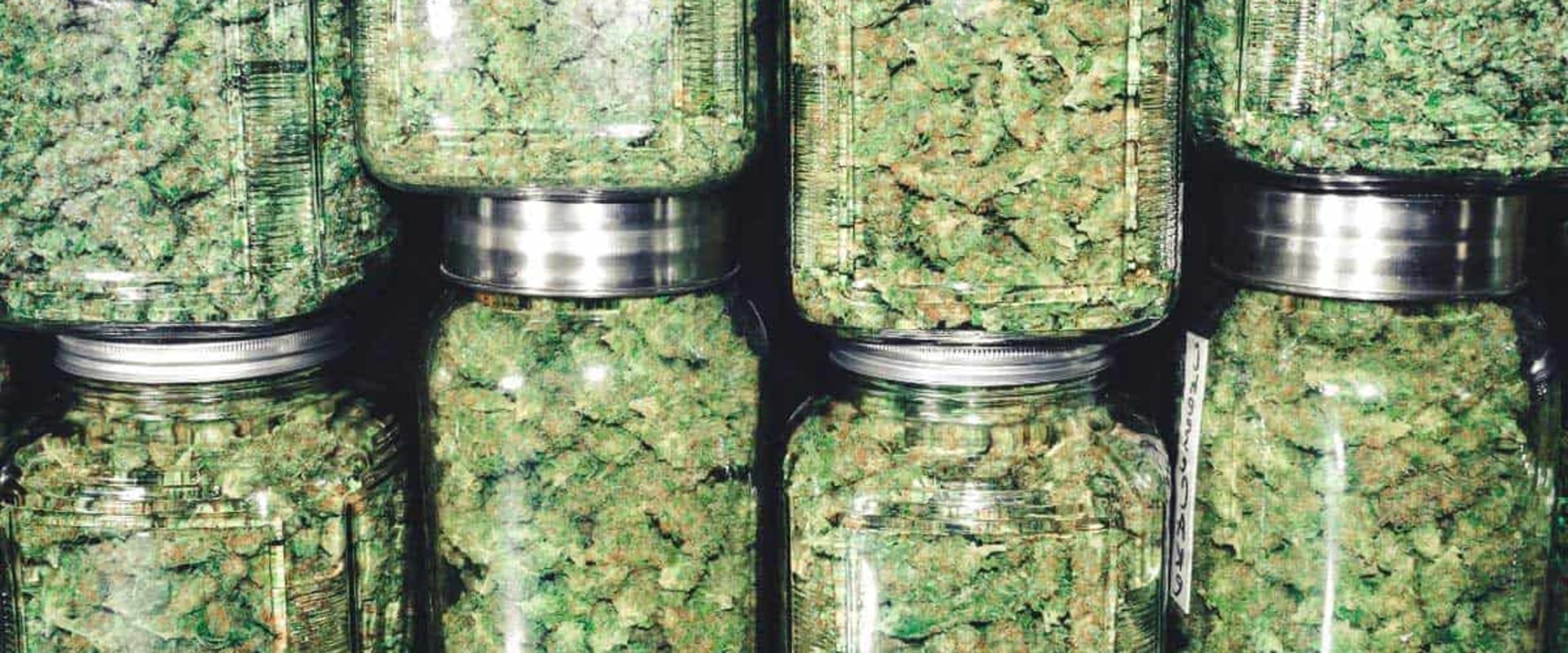 How does dispensary get their weed?