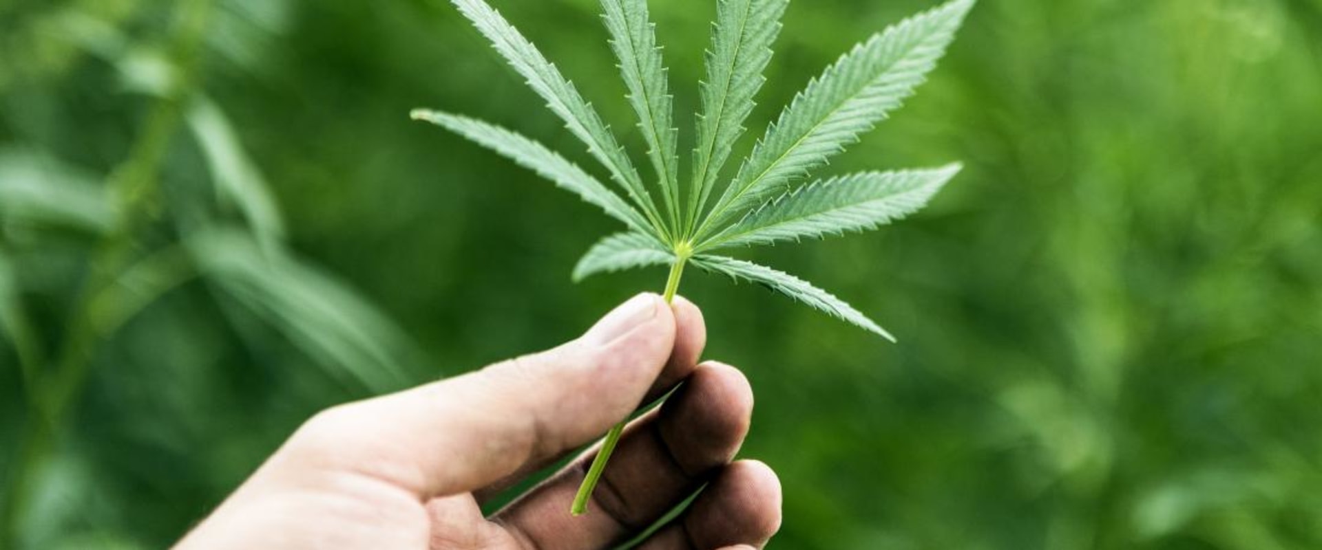What are the benefits of legalizing drugs?