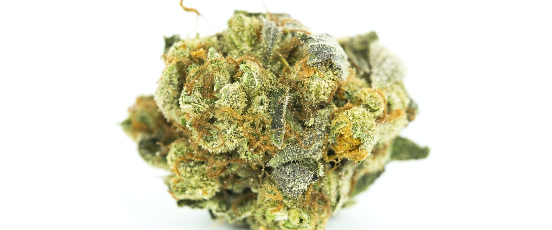 Which thc makes you laugh?