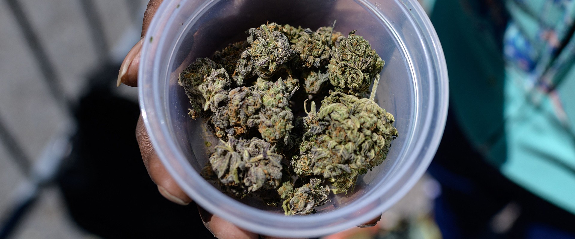 Are dispensaries legal in new york?