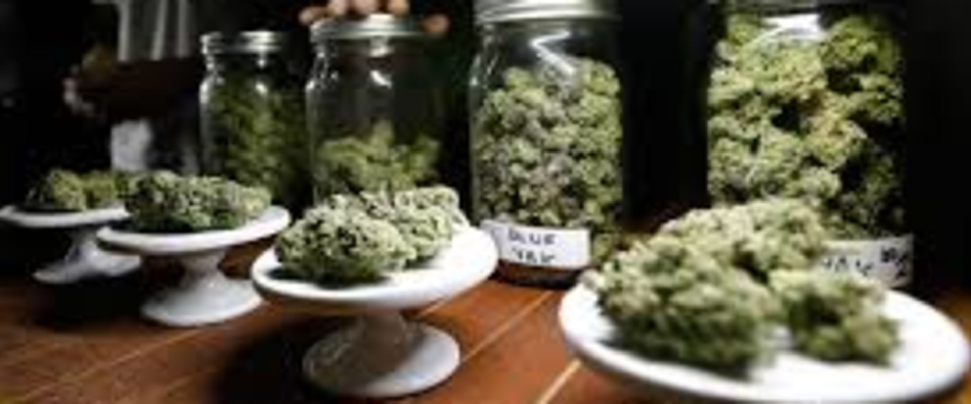 Things To Know About Marijuanas Dispensary