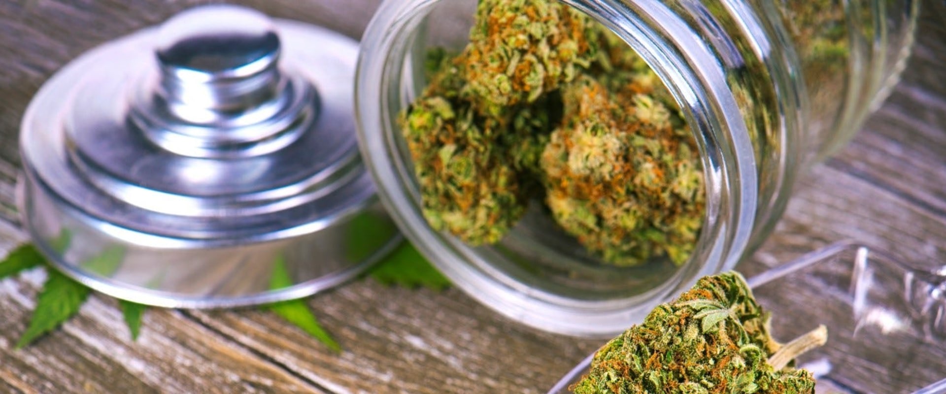 Where do colorado dispensaries get their product?