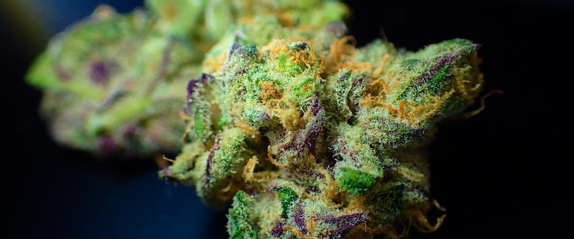 Navigating Marijuana Dispensaries and Addiction Treatment in Denver