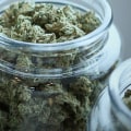 The Growing Need For Weed Delivery Services In Marijuana Dispensaries In Long Beach