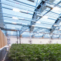Do i need a medical card to buy at a dispensary in virginia?