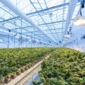 How are dispensaries regulated?