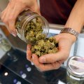 Can anyone go to a dispensary in new york?