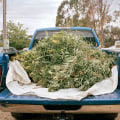 Detox Center In Portland, Maine: Building A Life Where Marijuana Dispensaries Don’t Tempt You