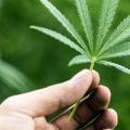 What are the benefits of legalizing drugs?