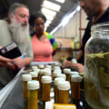 How much does it cost to open a dispensary in new york?