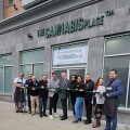 Exploring Marijuana Dispensaries and Rehab in New Jersey