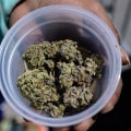 Are dispensaries legal in new york?