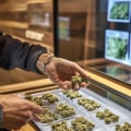 The Hidden Legal Risks of Expanding a Marijuana Dispensary Into New Markets