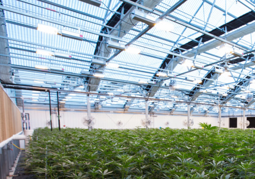 Do i need a medical card to buy at a dispensary in virginia?