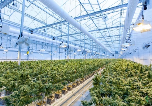 How are dispensaries regulated?