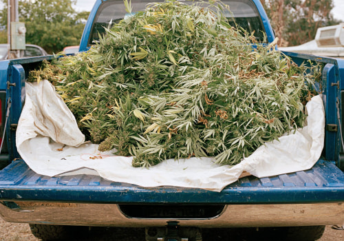 Detox Center In Portland, Maine: Building A Life Where Marijuana Dispensaries Don’t Tempt You