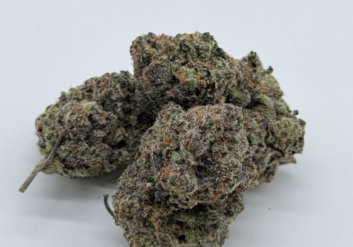 Key Insights About Marijuana Dispensaries And THCA Crumble In Boston