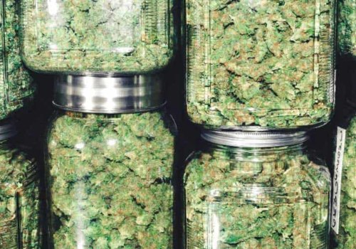 How does dispensary get their weed?
