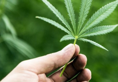 What are the benefits of legalizing drugs?