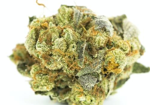 Which thc makes you laugh?