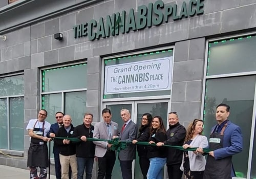 Exploring Marijuana Dispensaries and Rehab in New Jersey