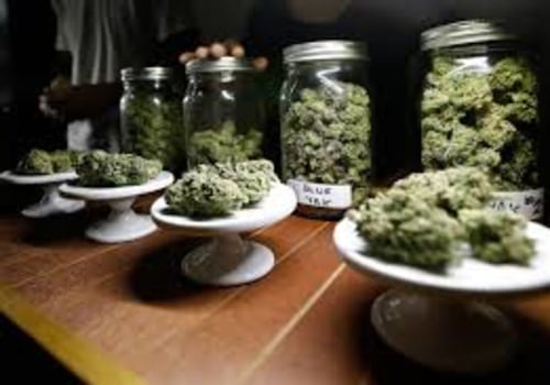 Things To Know About Marijuanas Dispensary