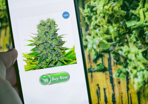10 Marijuana Dispensary Trends For The 2020s
