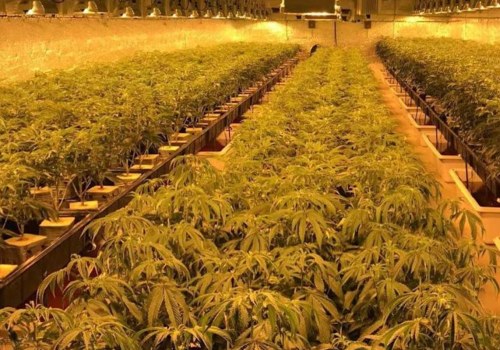 Can california dispensaries ship out of state?